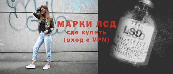 прущие грибы Каменногорск