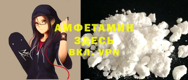 прущие грибы Каменногорск