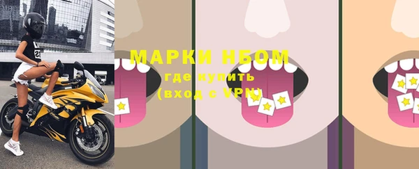 PSILOCYBIN Карталы