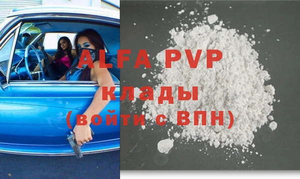 прущие грибы Каменногорск