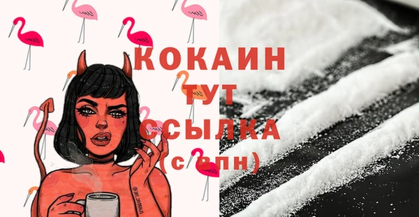 винт Каменка