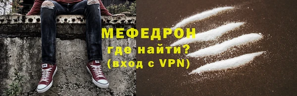 прущие грибы Каменногорск