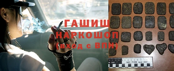 прущие грибы Каменногорск
