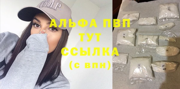 винт Каменка
