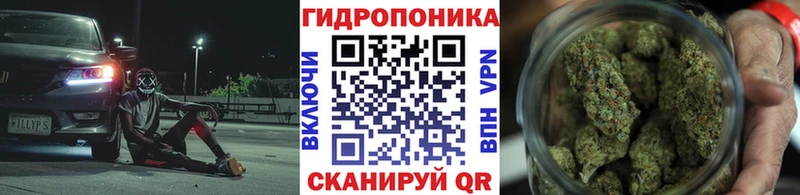 магазин    Солигалич  Шишки марихуана OG Kush 